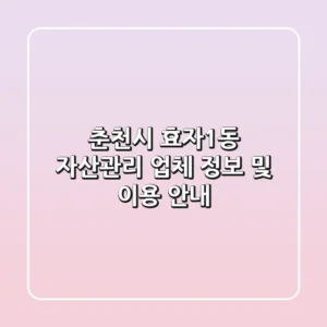 춘천시 효자1동 자산관리 업체 정보 및 이용 안내