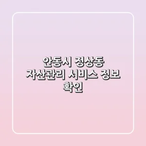 안동시 정상동 자산관리 서비스 정보 확인