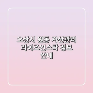 오산시 원동 자산관리: 라이즈인스탁 정보 안내