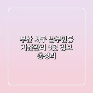 부산 서구 남부민동 자산관리: 3곳 정보 총정리