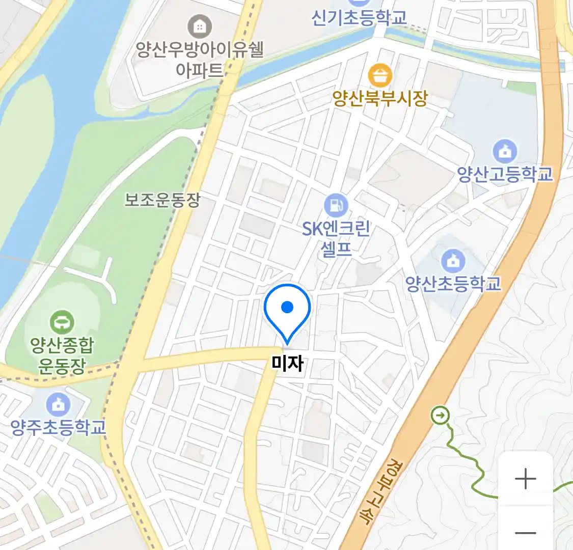 미자 위치