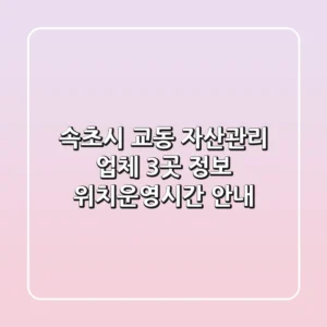 속초시 교동 자산관리 업체 3곳 정보 - 위치/운영시간 안내