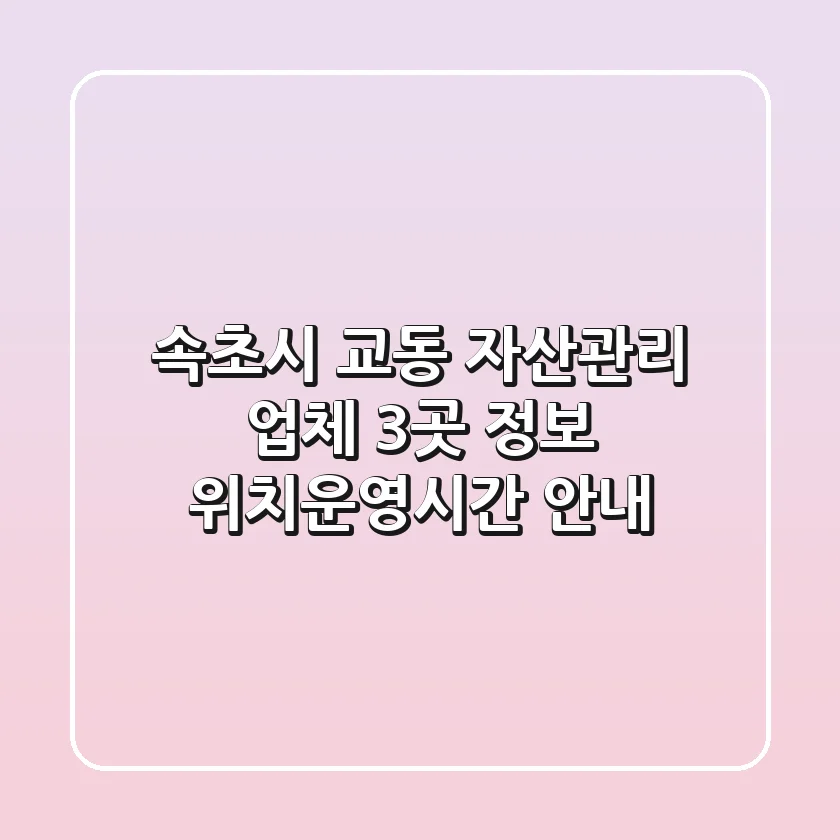 속초시 교동 자산관리 업체 3곳 정보 - 위치/운영시간 안내